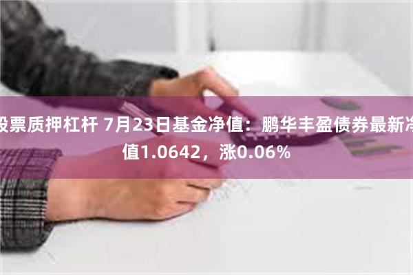 股票质押杠杆 7月23日基金净值：鹏华丰盈债券最新净值1.0642，涨0.06%