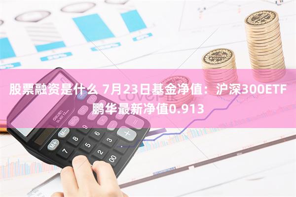 股票融资是什么 7月23日基金净值：沪深300ETF鹏华最新净值0.913