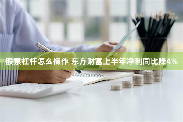 股票杠杆怎么操作 东方财富上半年净利同比降4%