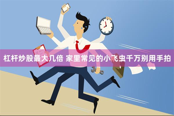 杠杆炒股最大几倍 家里常见的小飞虫千万别用手拍