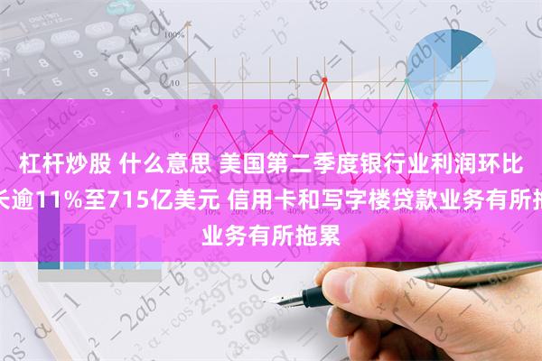 杠杆炒股 什么意思 美国第二季度银行业利润环比增长逾11%至715亿美元 信用卡和写字楼贷款业务有所拖累