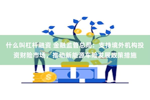 什么叫杠杆融资 金融监管总局：支持境外机构投资财险市场，推动新能源车险发展政策措施