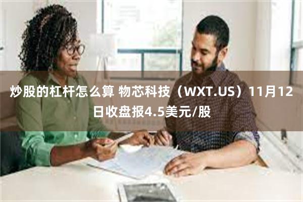 炒股的杠杆怎么算 物芯科技（WXT.US）11月12日收盘报4.5美元/股