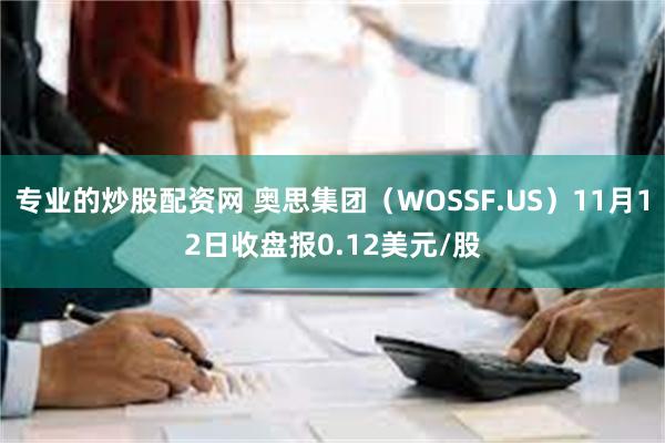 专业的炒股配资网 奥思集团（WOSSF.US）11月12日收盘报0.12美元/股