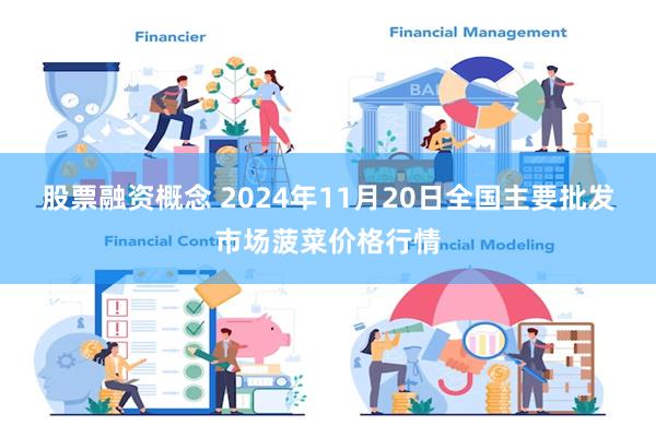 股票融资概念 2024年11月20日全国主要批发市场菠菜价格行情