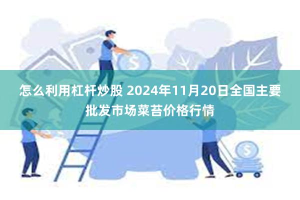 怎么利用杠杆炒股 2024年11月20日全国主要批发市场菜苔价格行情