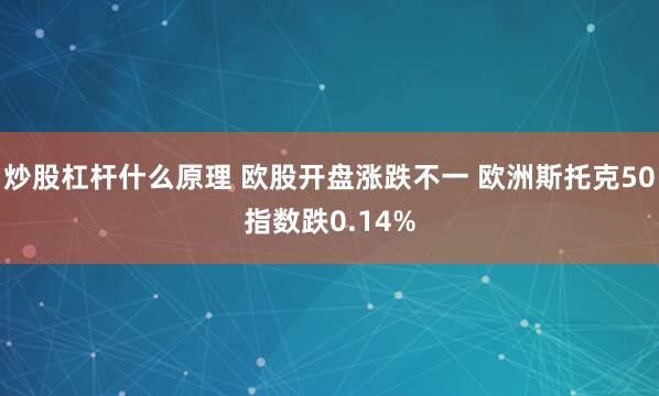 炒股杠杆什么原理 欧股开盘涨跌不一 欧洲斯托克50指数跌0.14%