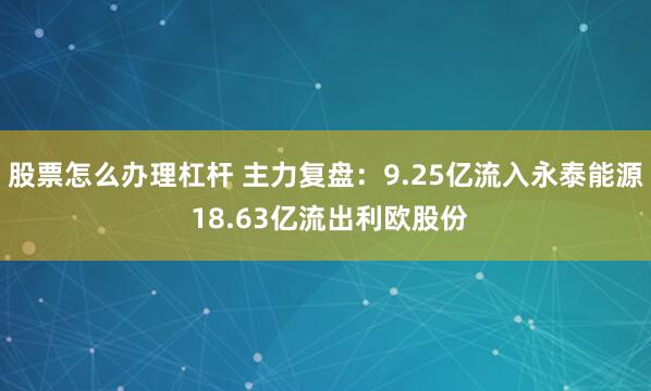 股票怎么办理杠杆 主力复盘：9.25亿流入永泰能源 18.63亿流出利欧股份