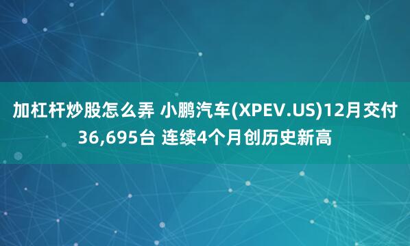 加杠杆炒股怎么弄 小鹏汽车(XPEV.US)12月交付36,695台 连续4个月创历史新高