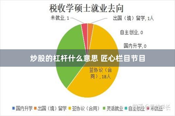 炒股的杠杆什么意思 匠心栏目节目