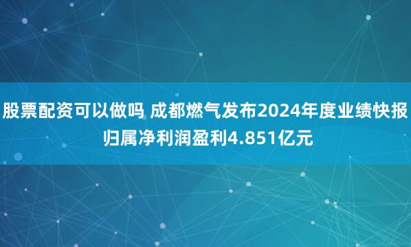 股票配资可以做吗 成都燃气发布2024年度业绩快报 归属净利润盈利4.851亿元