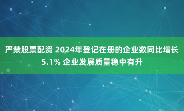 严禁股票配资 2024年登记在册的企业数同比增长5.1% 企业发展质量稳中有升