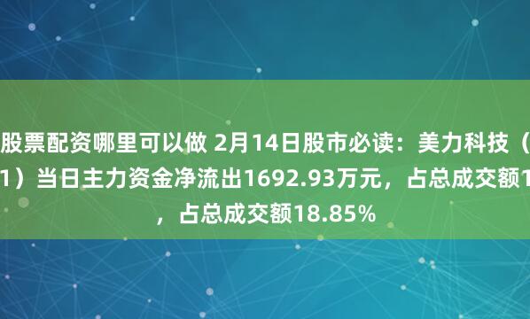 股票配资哪里可以做 2月14日股市必读：美力科技（300611）当日主力资金净流出1692.93万元，占总成交额18.85%